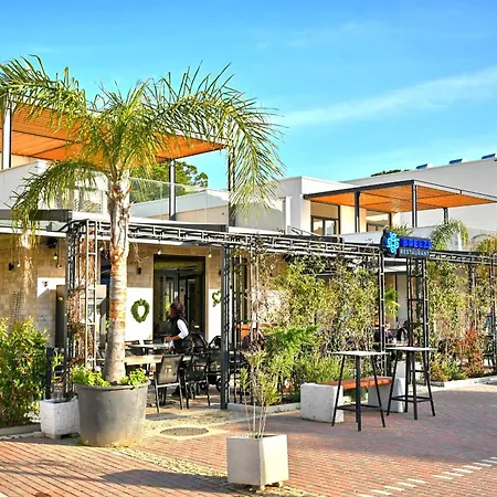 San Pietro - 288 德拉克